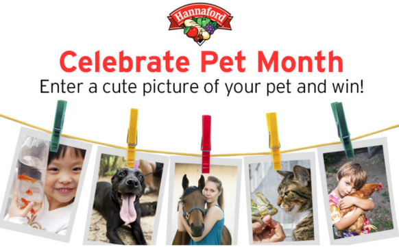Pet Photo Contest: Win $50 Hannaford Gift Card + More!