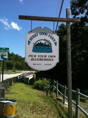 Berry Good Farms Sign