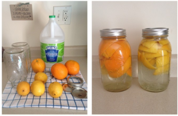 Lemon/Orange Kitchen Cleaner