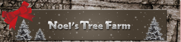 Noel’s Tree Farm-Cut Your Own Christmas Tree