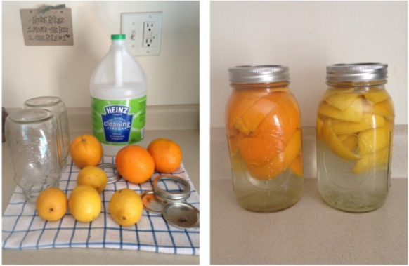 Lemon Vinegar Kitchen Cleaner
